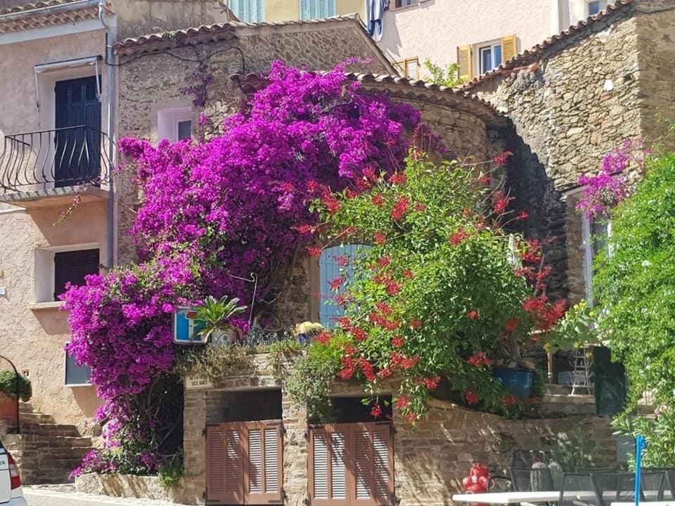 Maison De Vacances Medievale Bormes-Les-Mimosas Village Exterior foto